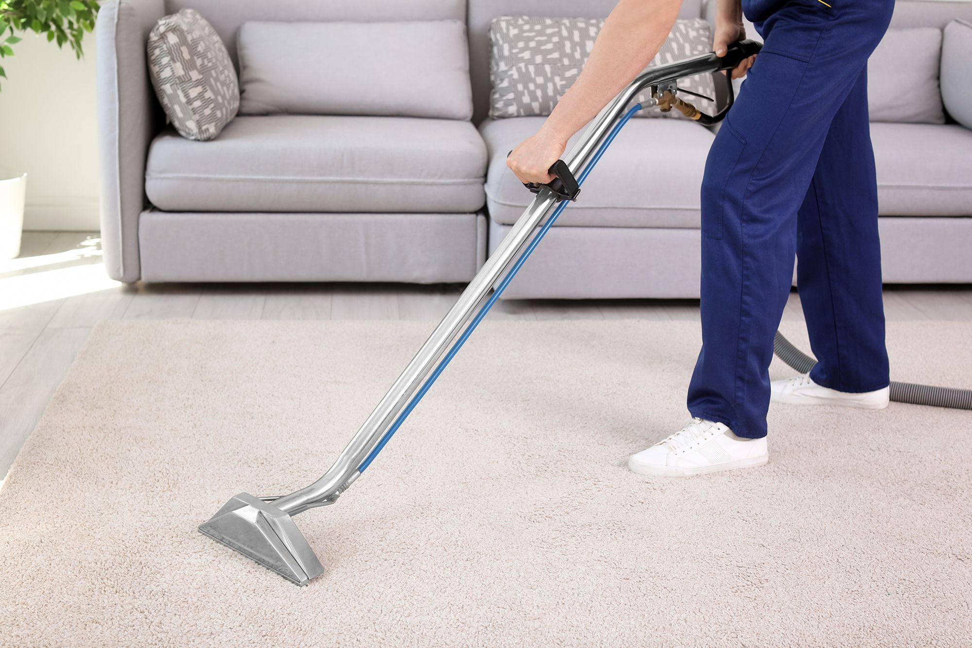 Professional Cleaning Durham