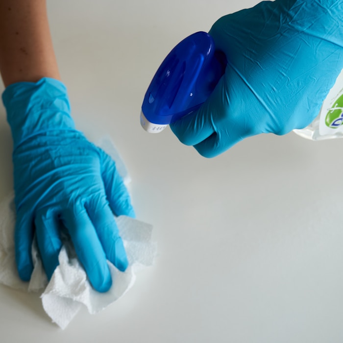 Weekly House Cleaning